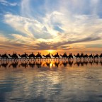 Travel to broom and take a ride on a camel